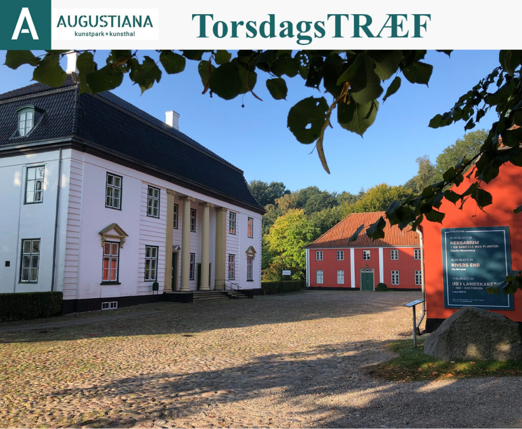 Augustiana Kunstpark & Kunsthal: TorsdagsTRÆF