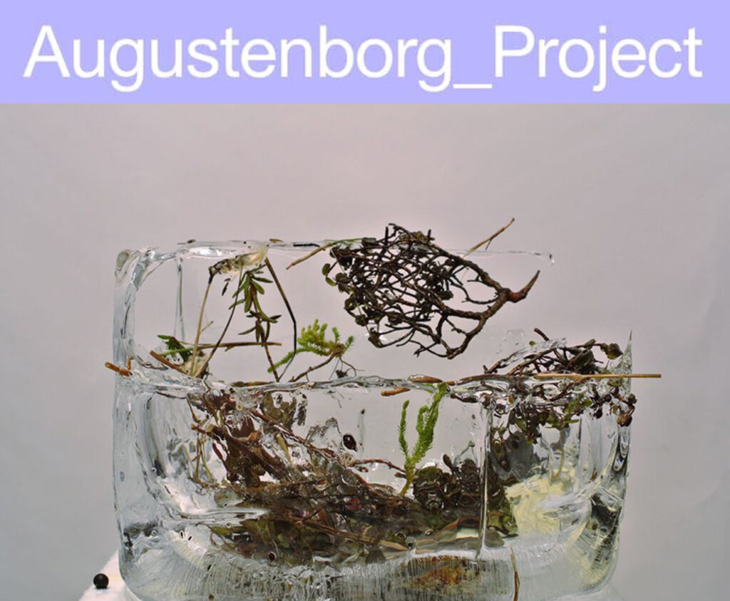 Augustenborg_Project: IMPRINT by SIIKUU